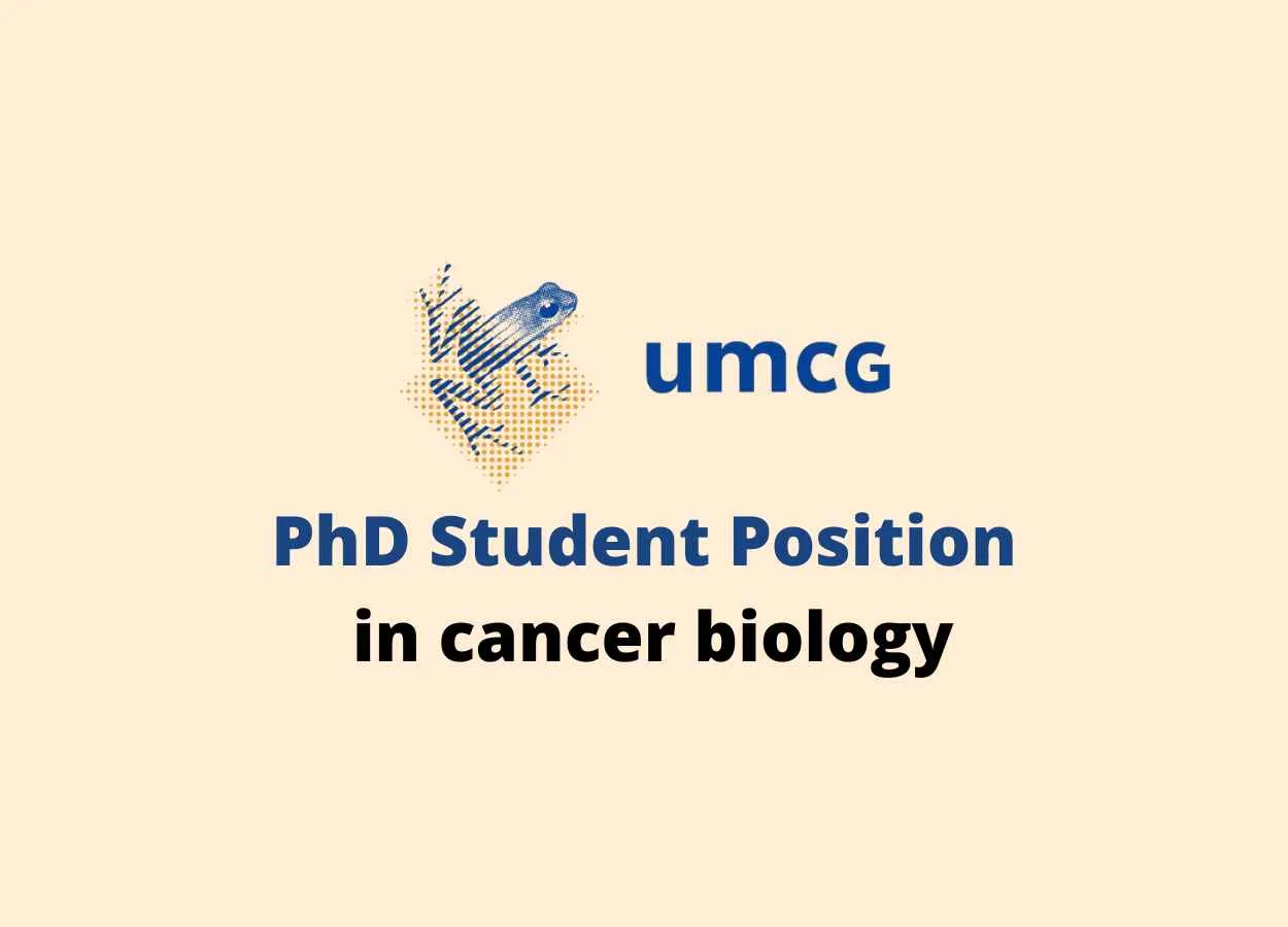 PhD student position in cancer biology at UMCG
