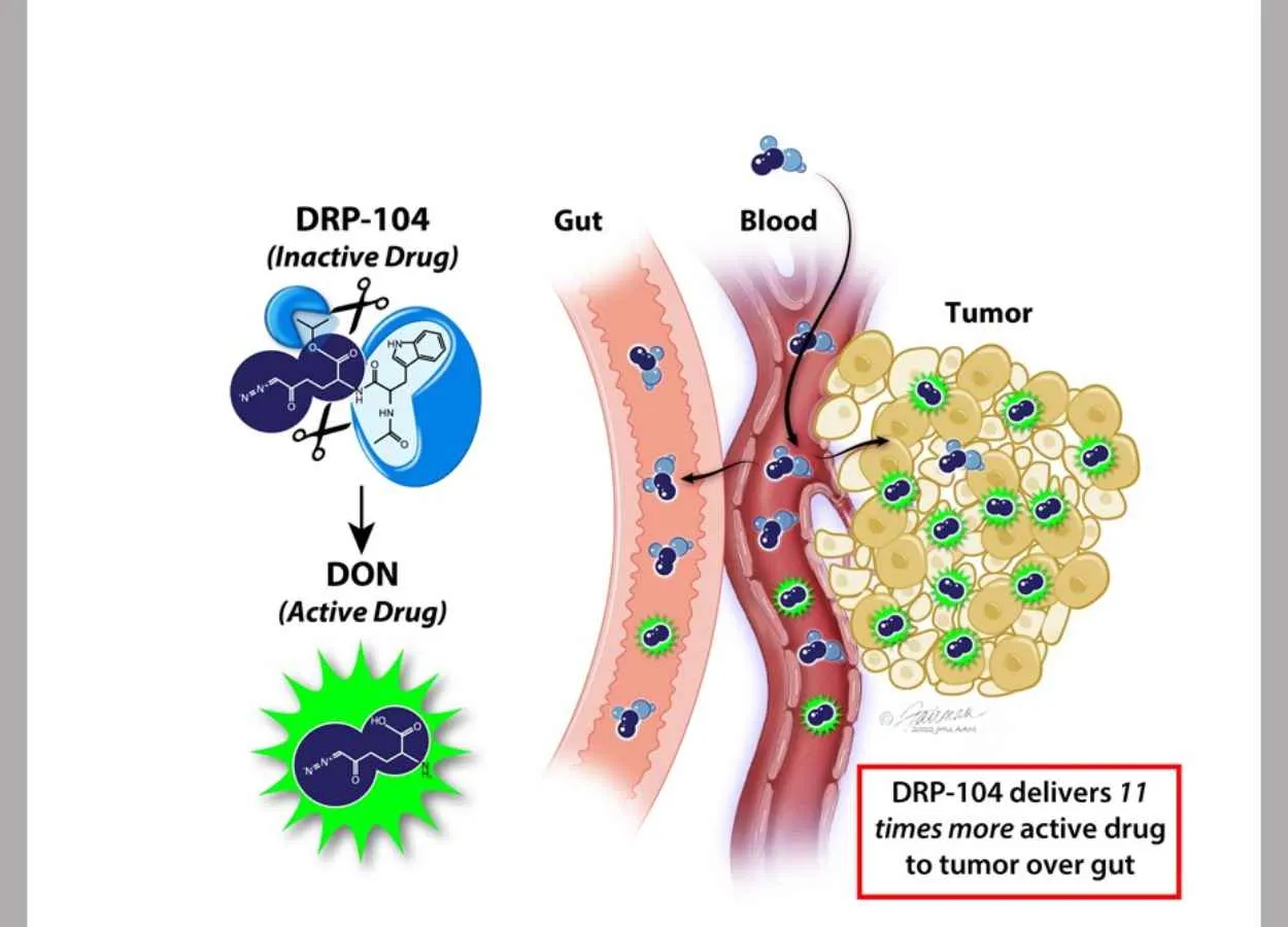 Researchers Design Prodrug That Targets Cancer Cells