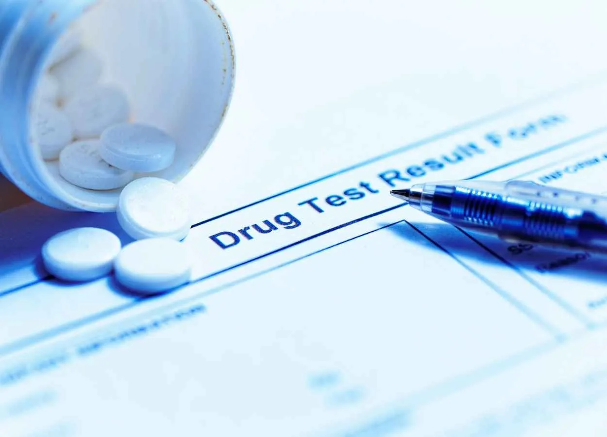 Vitro Vascular Systems Opens Possibilities for Drug Testing