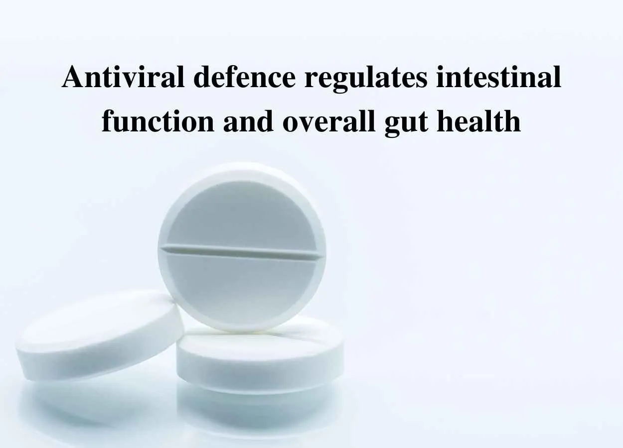 Antiviral defence regulates intestinal function and overall gut health