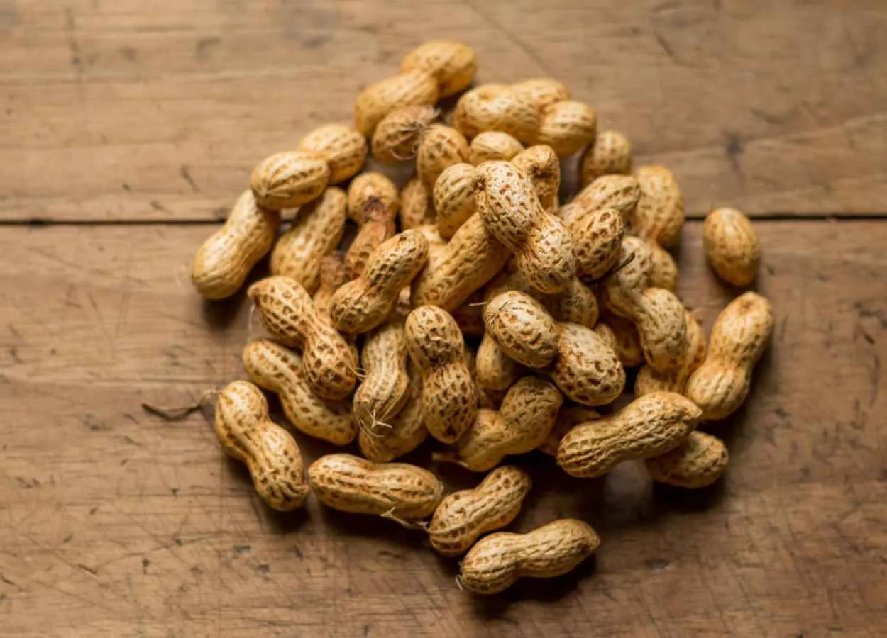 Peanuts and herbs and spices may positively impact gut microbiome