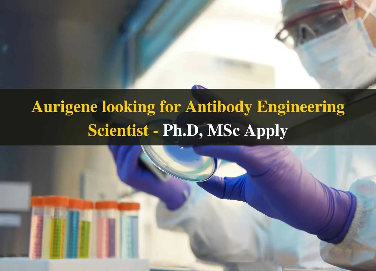 Aurigene looking for Antibody Engineering Scientist