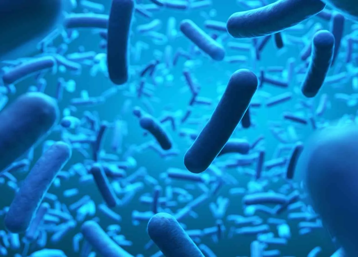 How individual bacteria reacts when exposed to different antibiotics