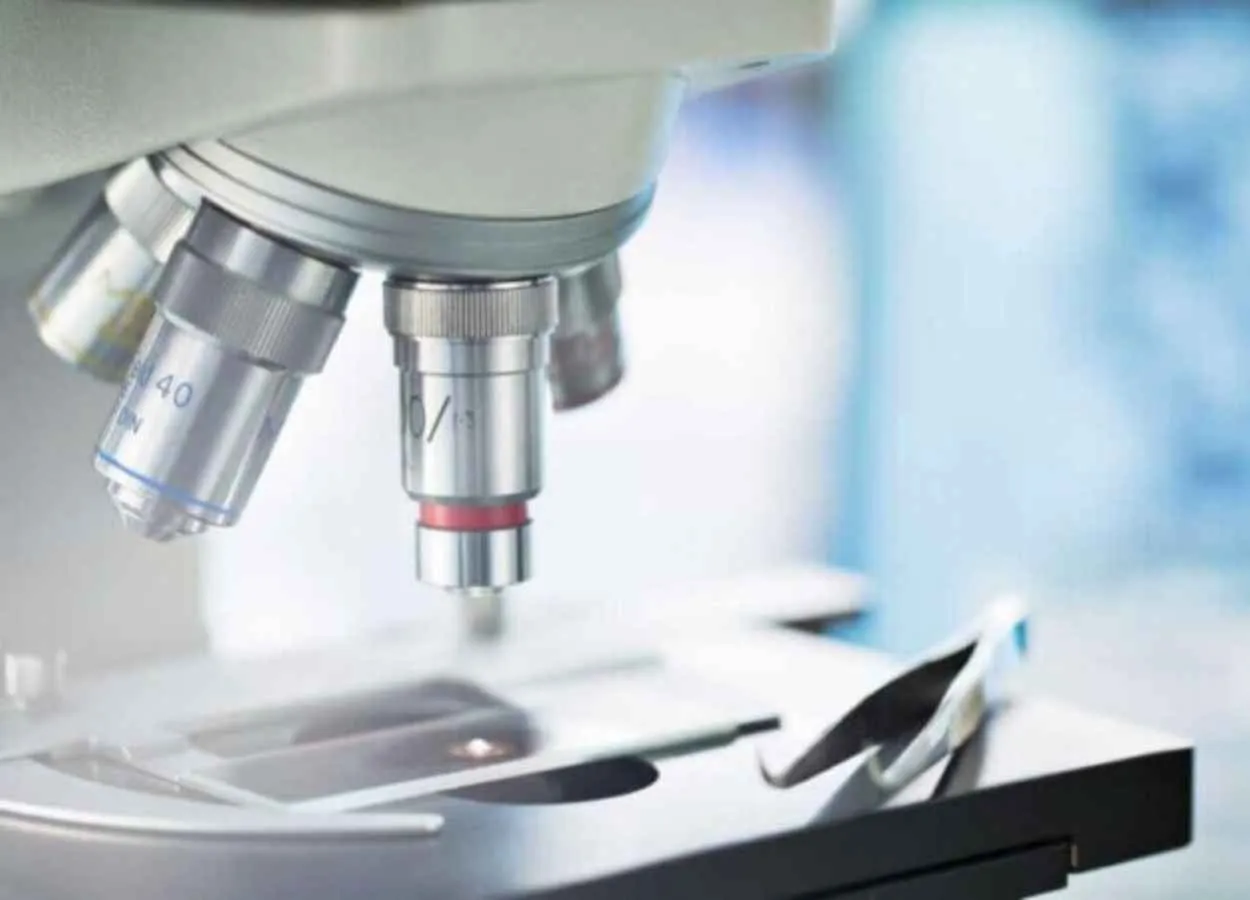 Inflammatory trigger a new clue in Alzheimer