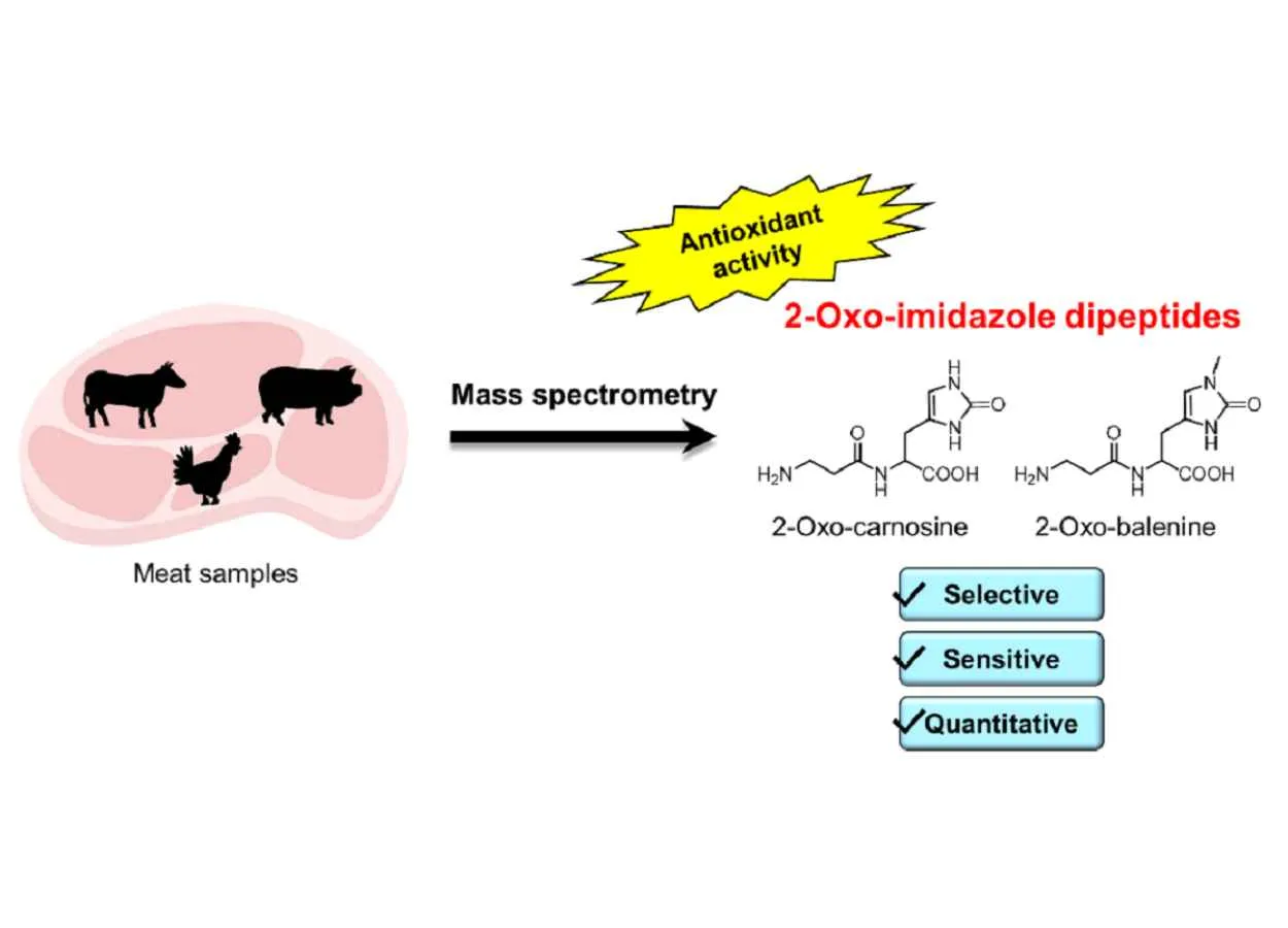 Establishment of a highly sensitive detection method for imidazole dipeptide oxidation derivatives