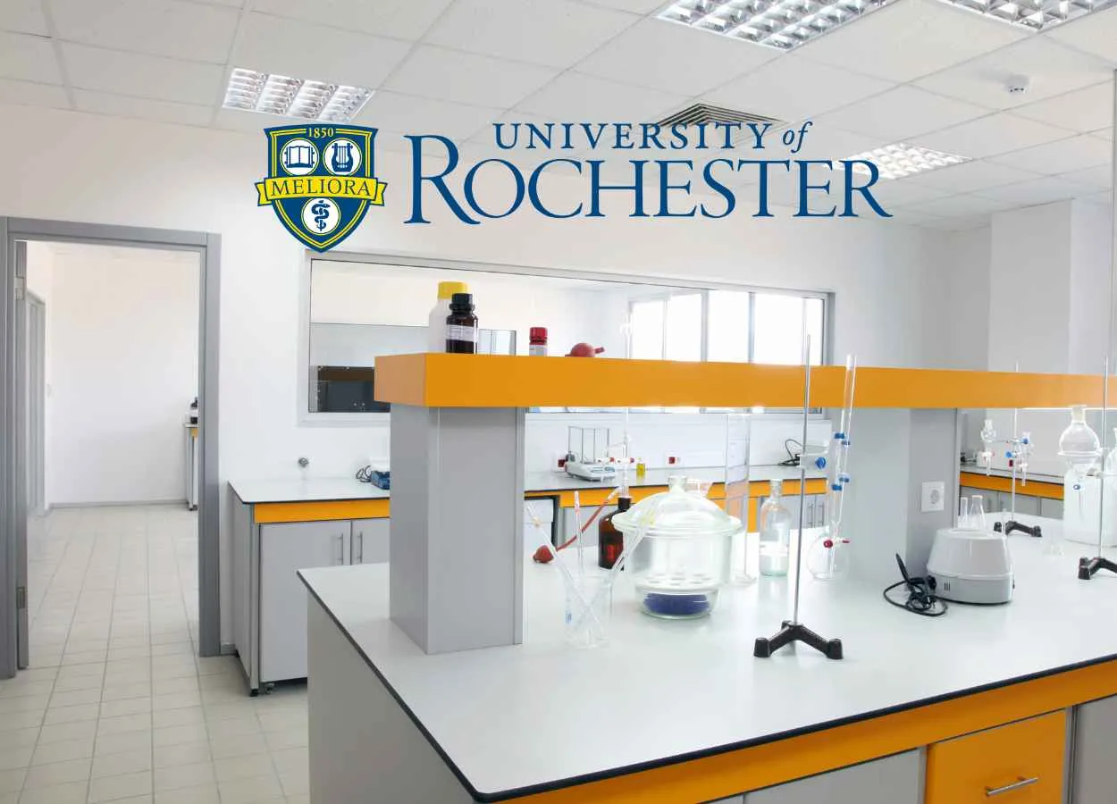 Work as Lab Manager at University of Rochester