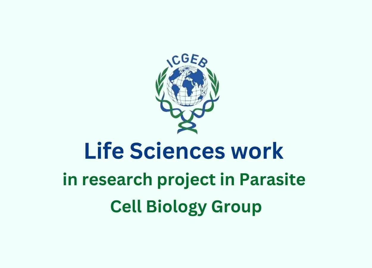 Life Sciences work in a research project in Parasite Cell Biology Group at ICGEB