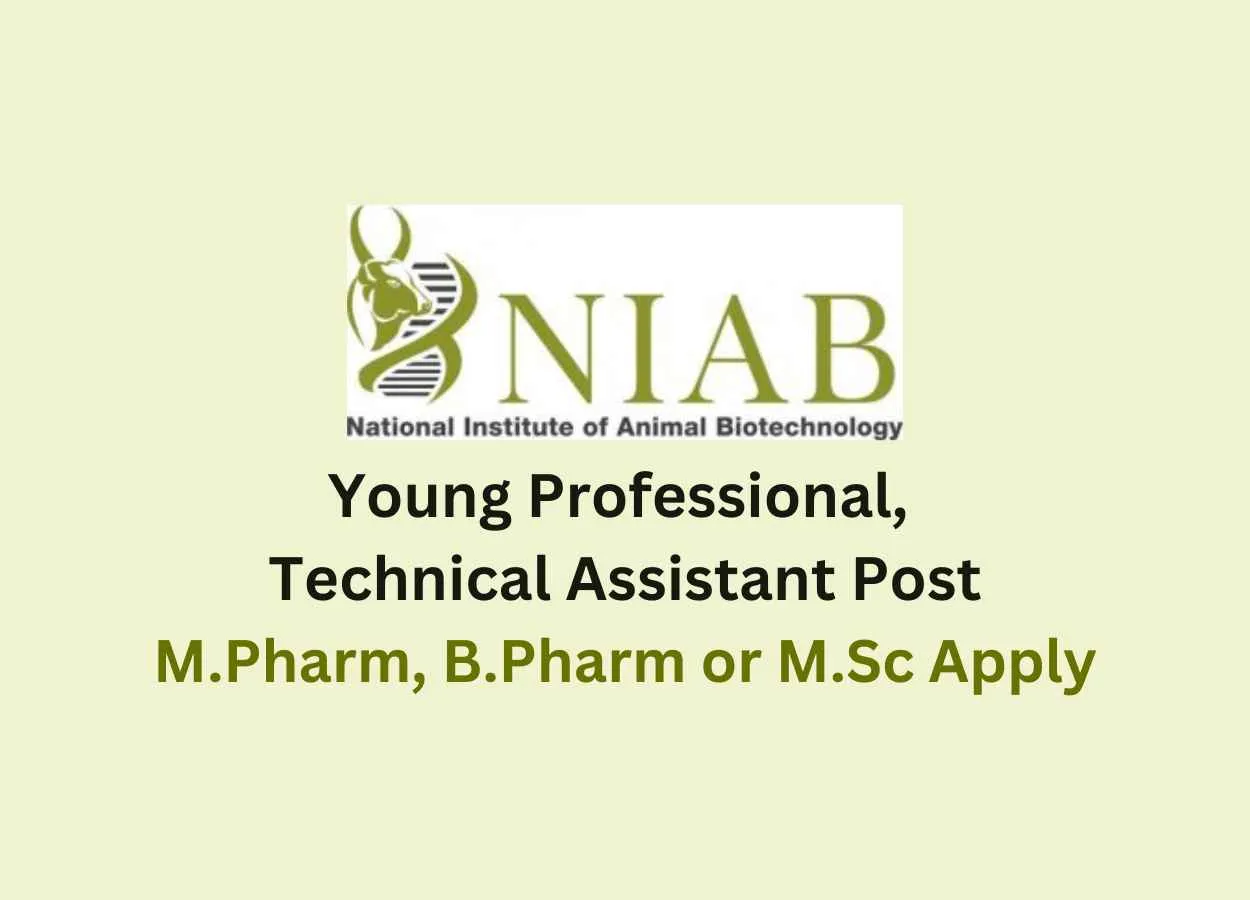 NIAB invites applications for Post of Young Professional, Technical Assistant