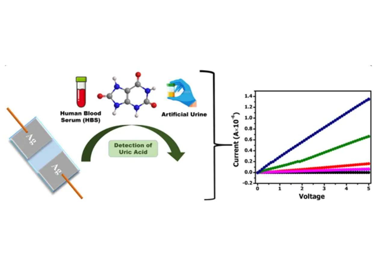 A newly fabricated bio-electronic uric acid detecting device can be used for wearable sensors and point-of-care diagnostics