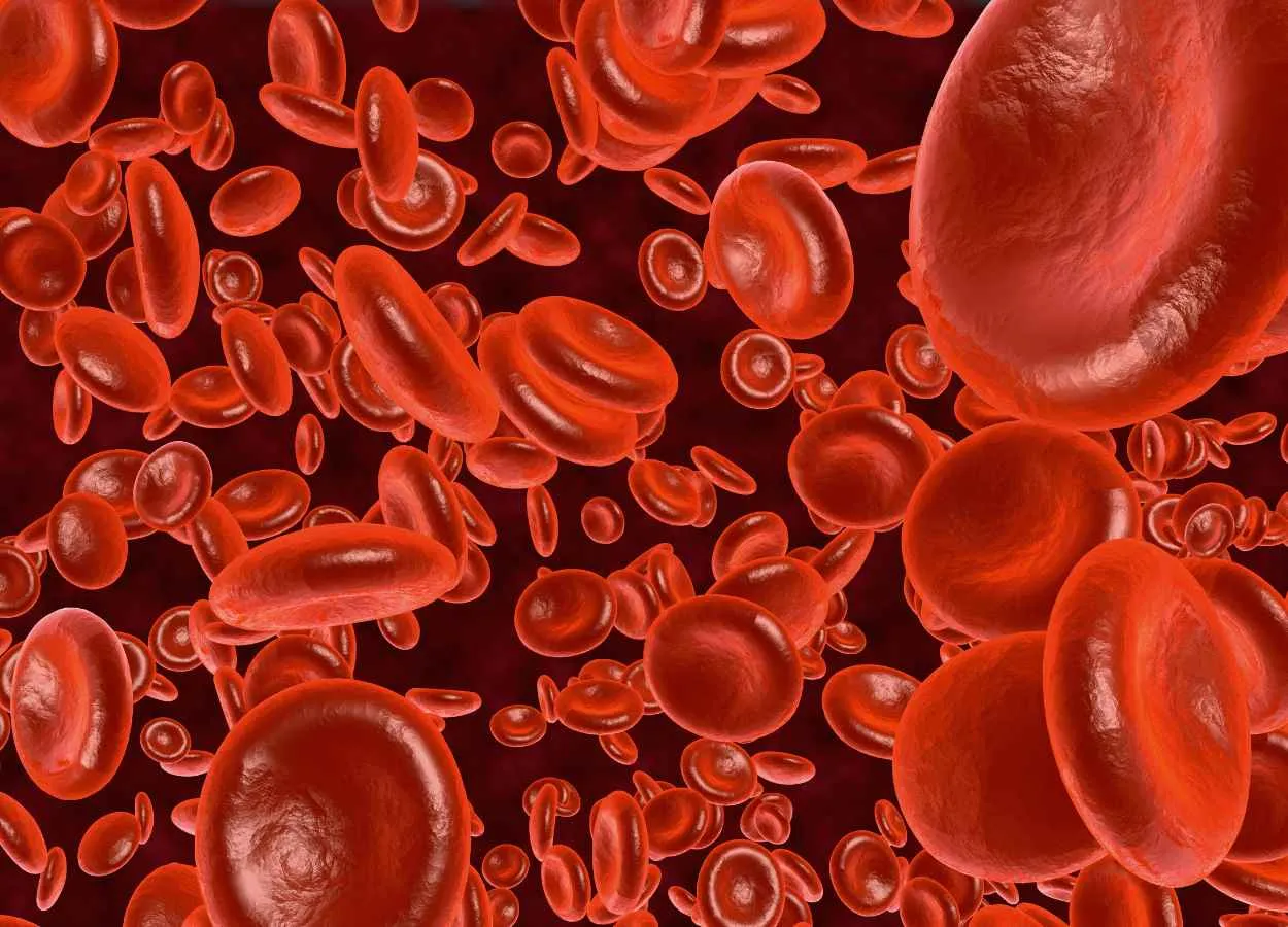 Iptacopan improves hemoglobin to near-normal levels in PNH patients