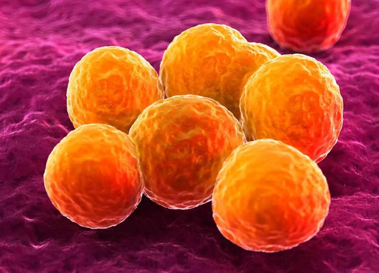 New Biologic Is Effective Against Major Infection in Early Tests