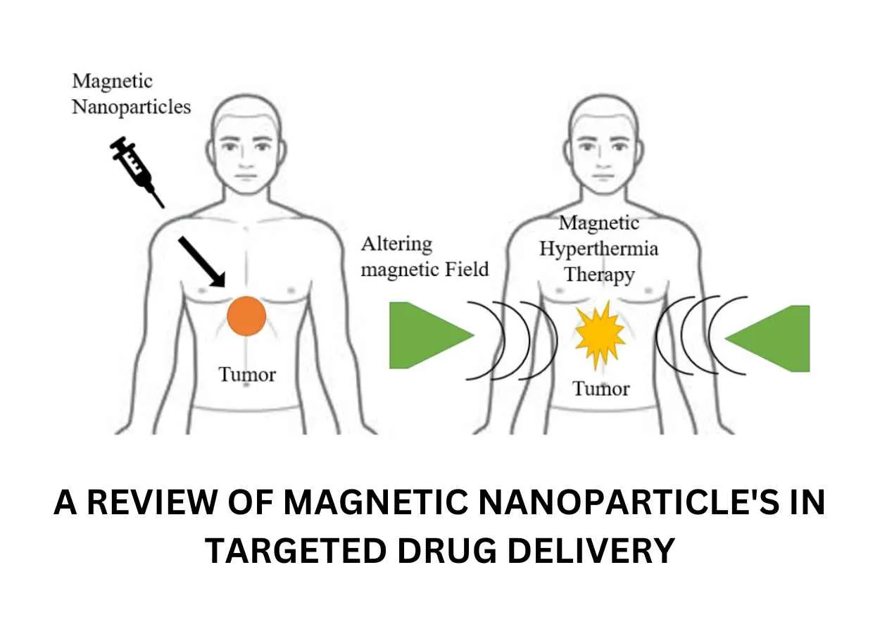 A REVIEW OF MAGNETIC NANOPARTICLES IN TARGETED DRUG DELIVERY