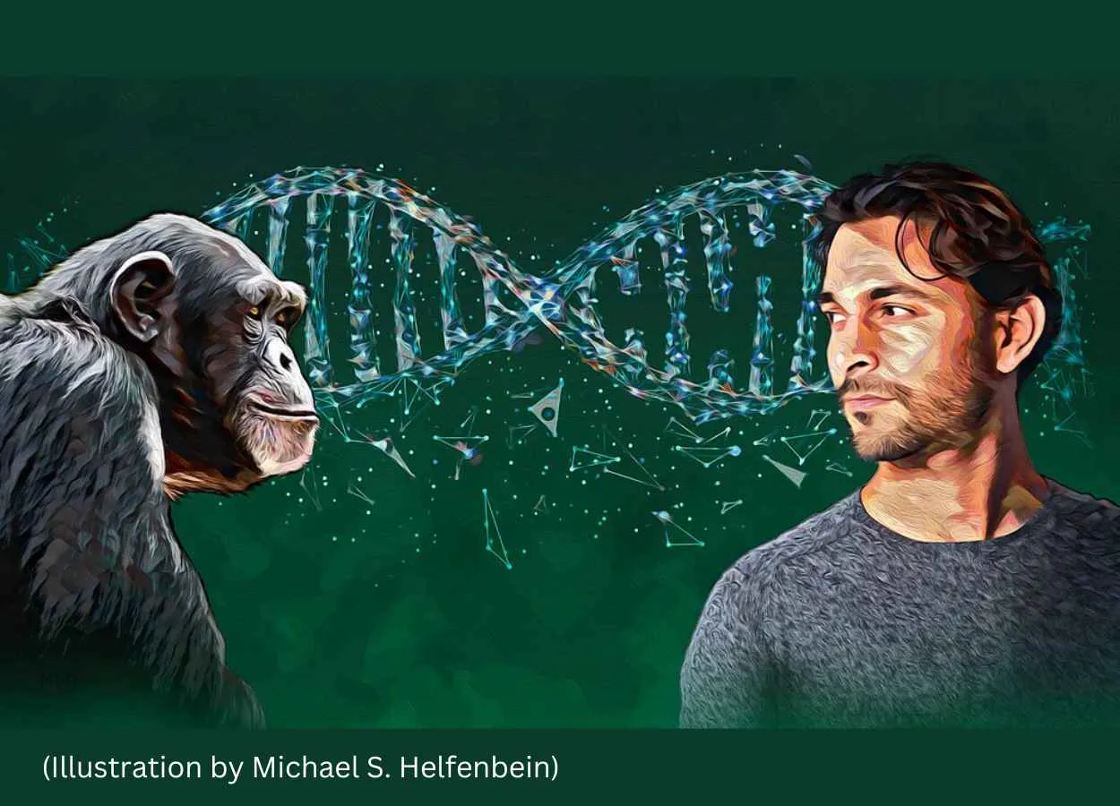 Deletions from the human genome may be what made us human