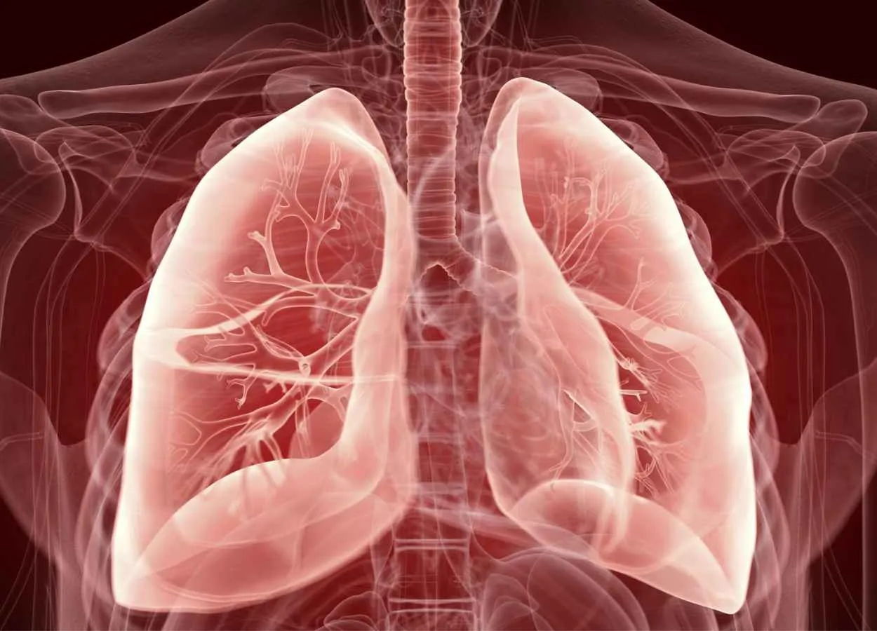 A lung injury therapy derived from adult skin cells
