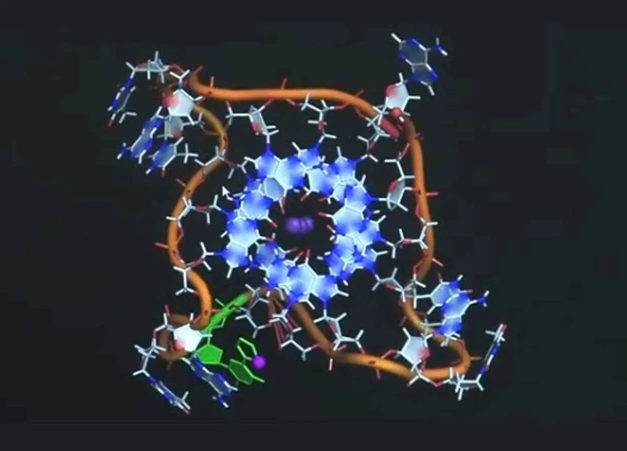 DNA architecture could be used to regulate cancer progression