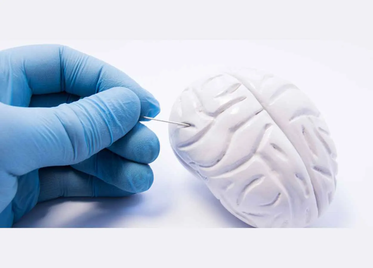 AI Tool Decodes Brain Cancer’s Genome During Surgery