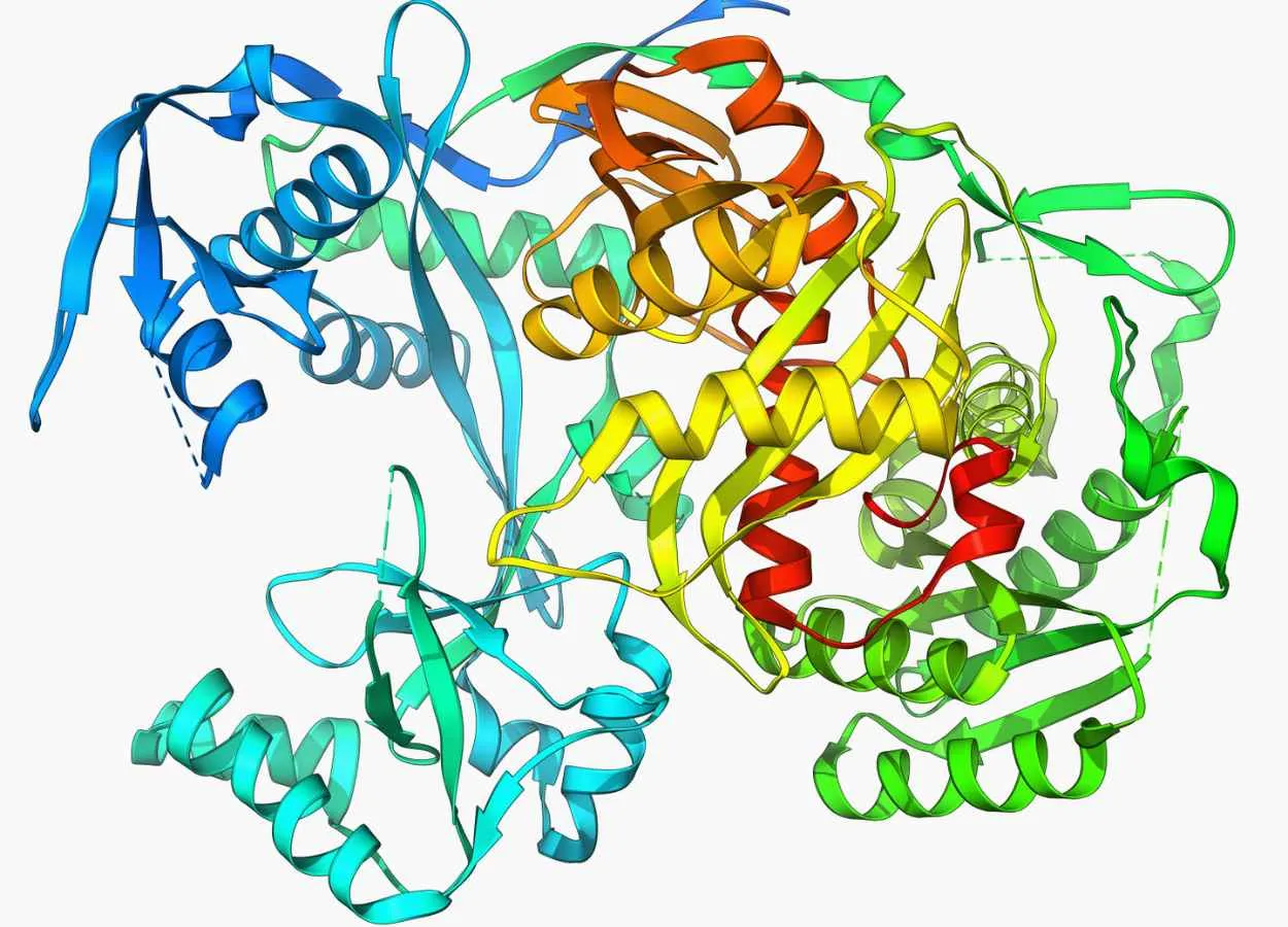 Unraveling a protein that may inspire a new biotechnology tool