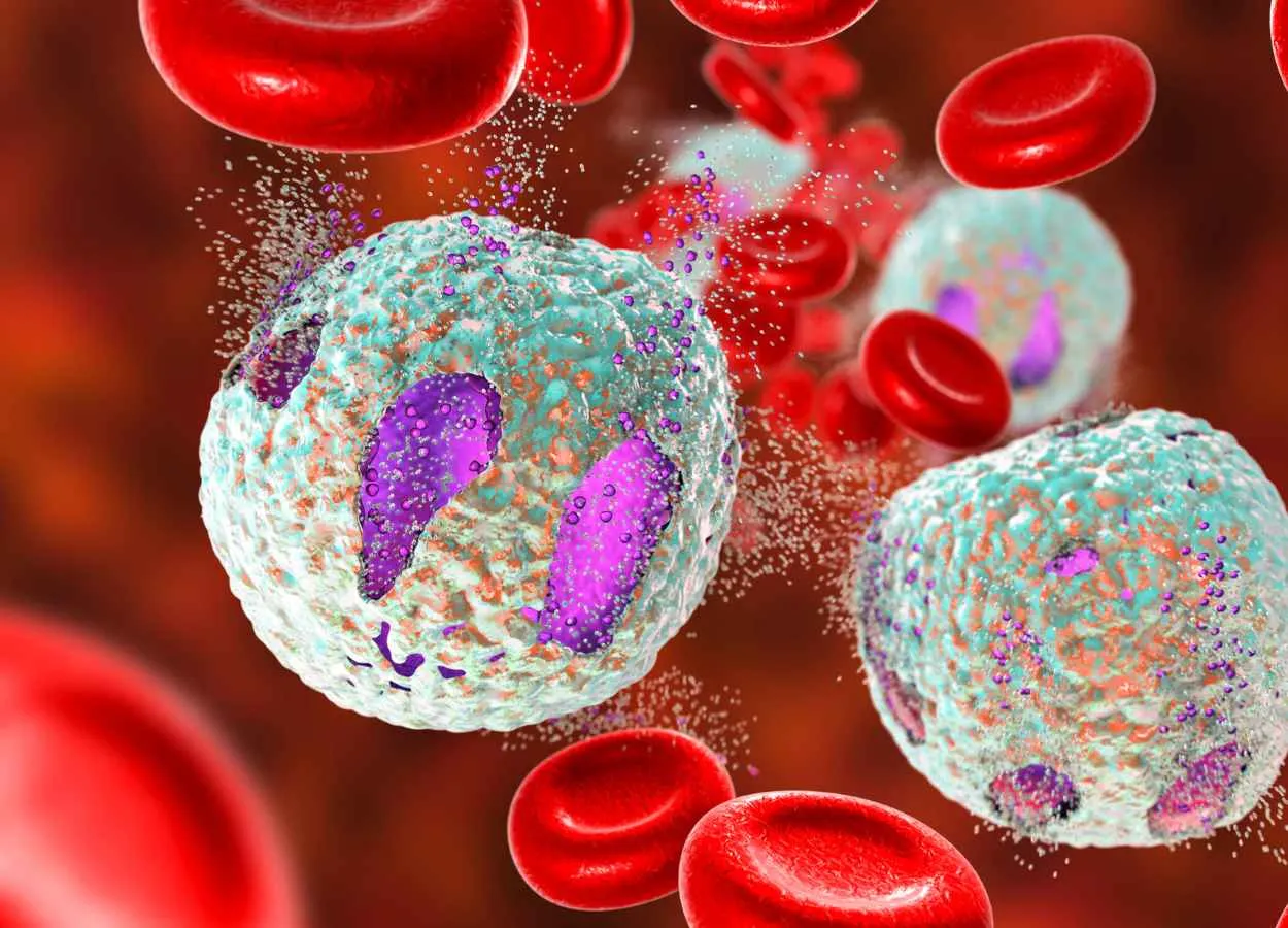 How Immune Cells Contribute to Alzheimer’s Disease