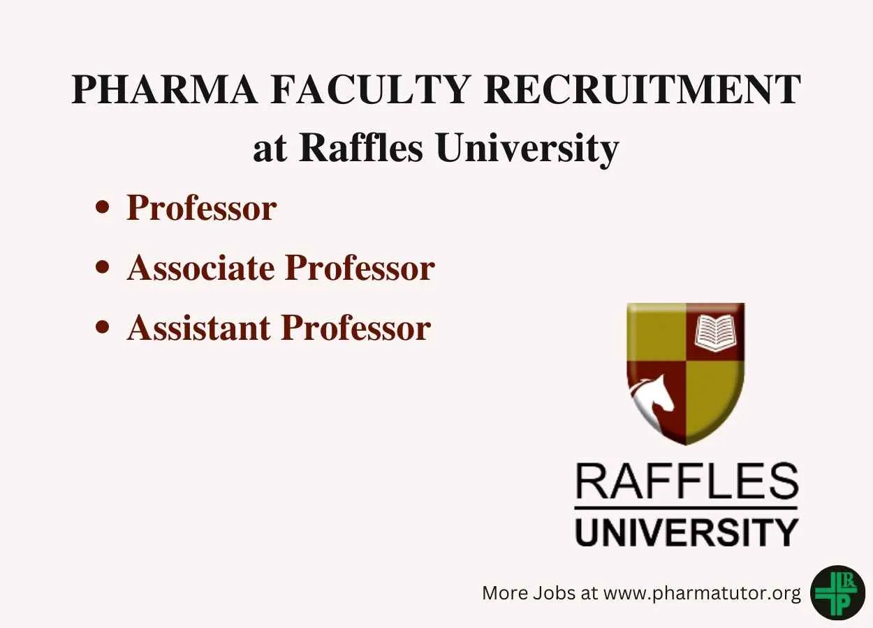 Job for Professor, Associate Professor, Assistant Professor at Raffles University