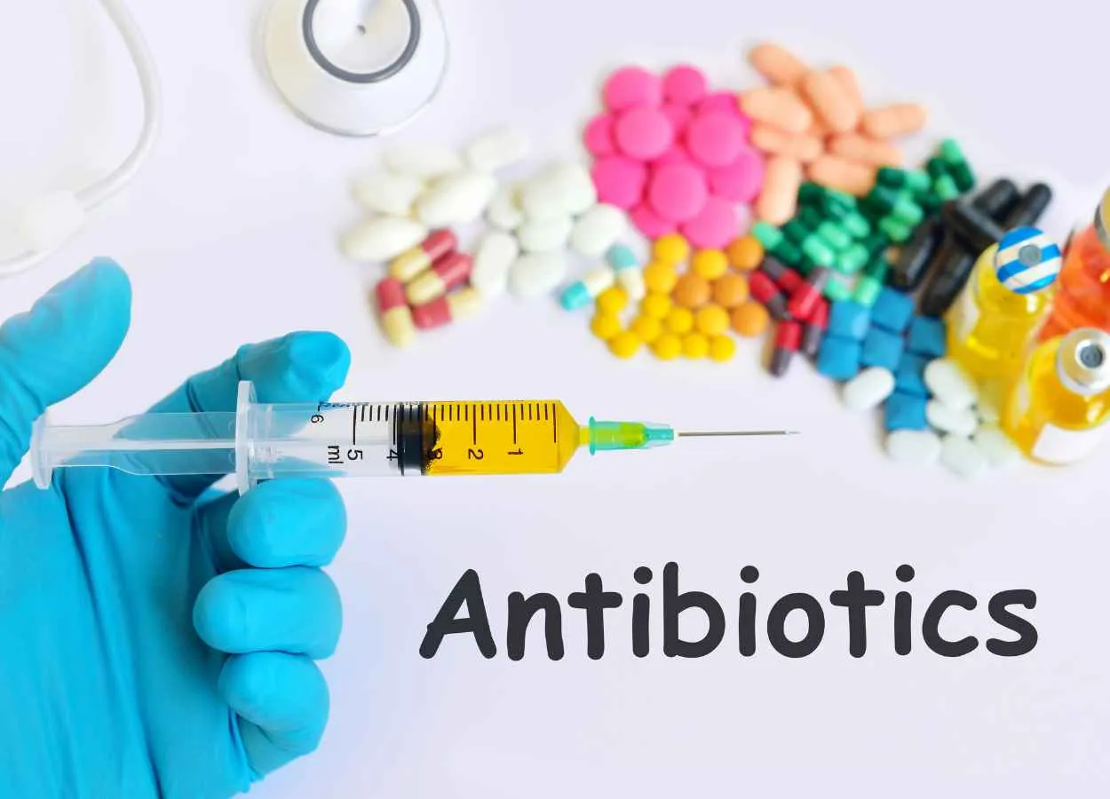 New antibiotic from microbial dark mattercould be powerful weapon against superbugs