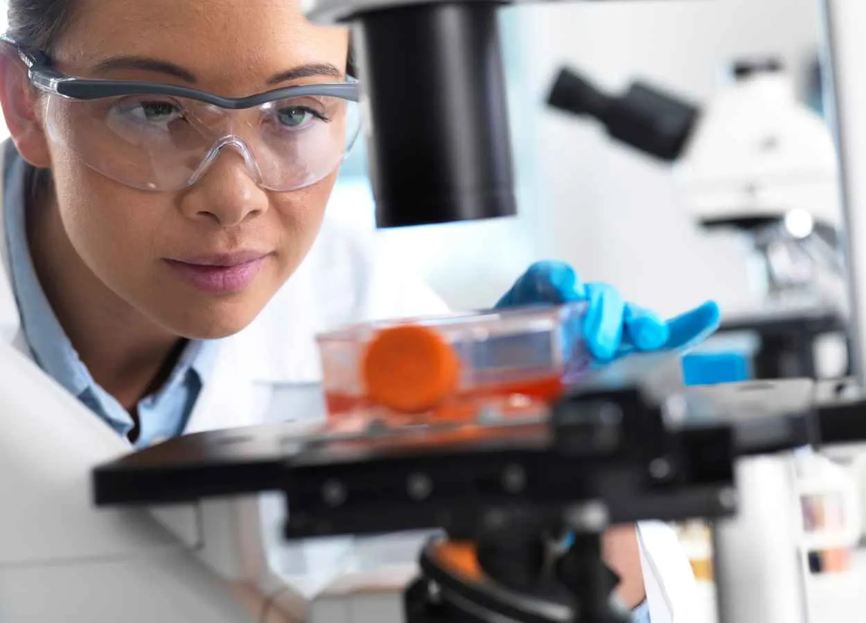 Researchers identify stem cells in the thymus for the first time