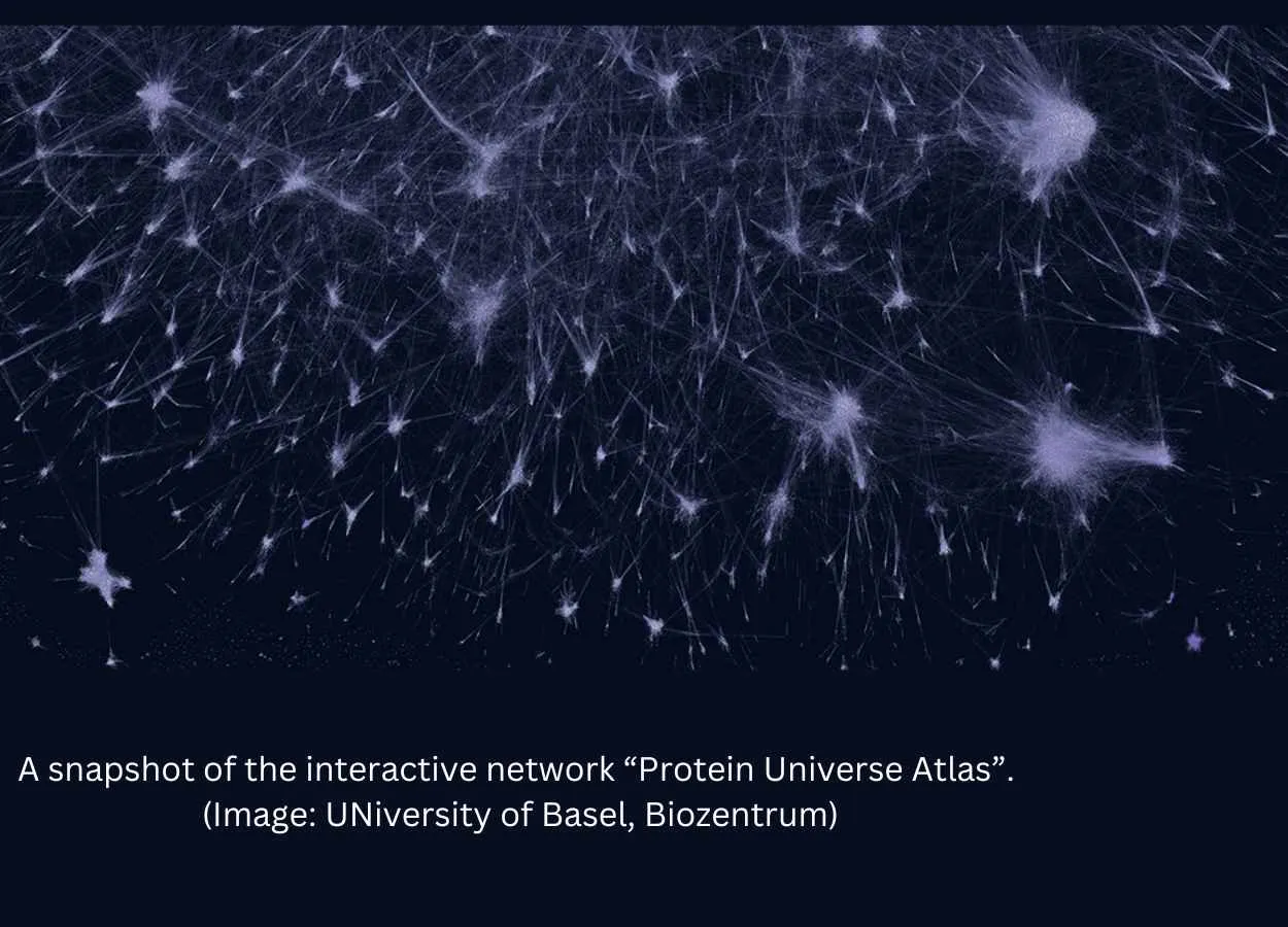 Artificial Intelligence tools shed light on millions of proteins