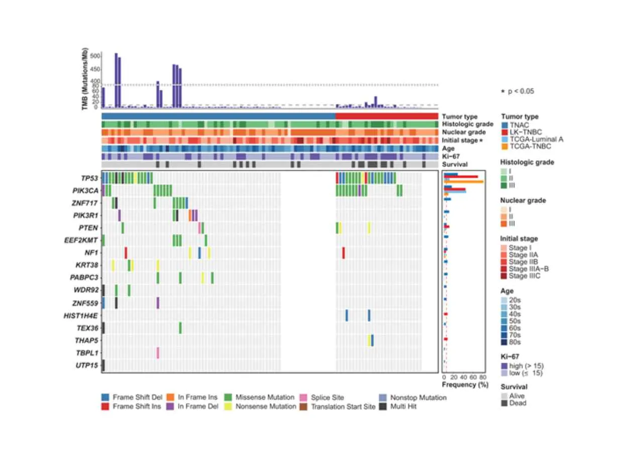 Groundbreaking Research Unveils Genetic Characteristics and Improved Prognosis of Triple Negative Apocrine Carcinoma