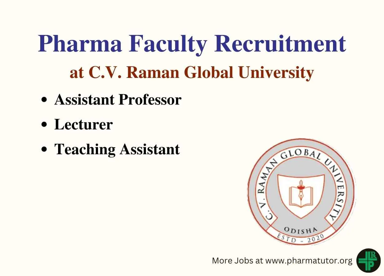 Job for Assistant Professor, Lecturer, Teaching Assistant at C.V. Raman Global University