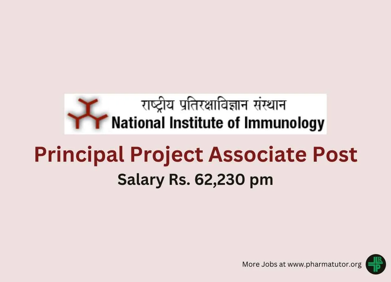 Applications are invited for Principal Project Associate at NII