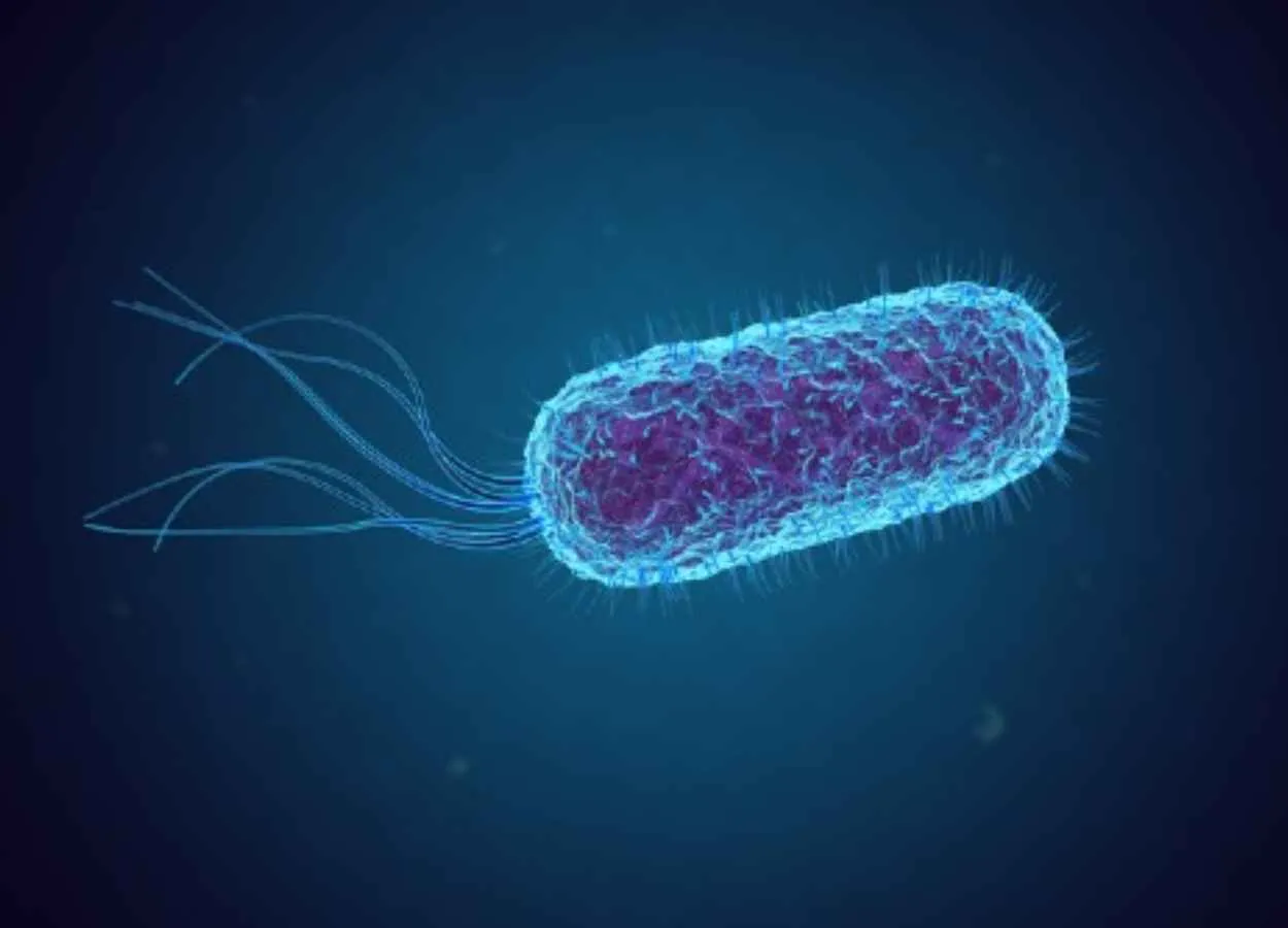 Breakthrough in treatment for world’s leading cause of kidney failure in children