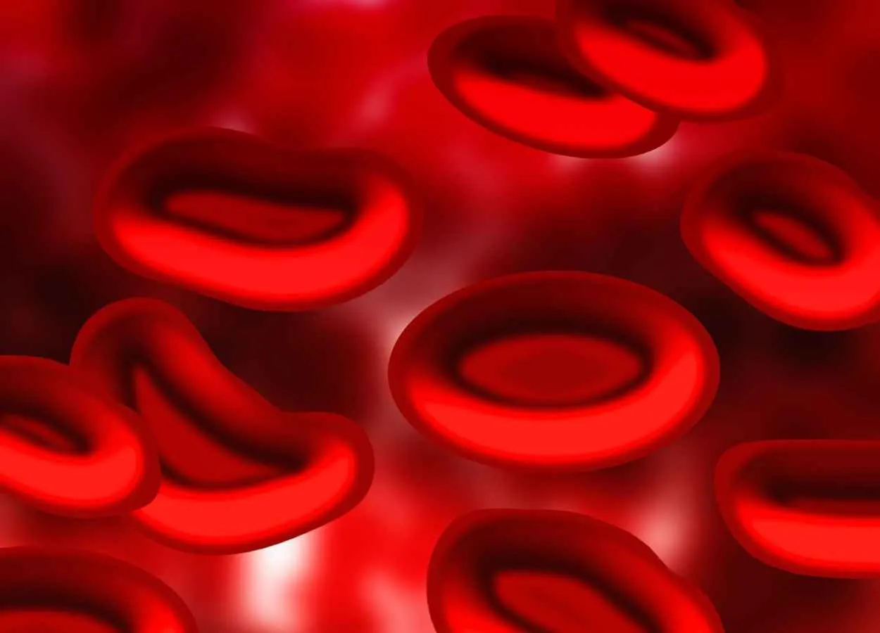 Capturing Immunotherapy Response in a Blood Drop