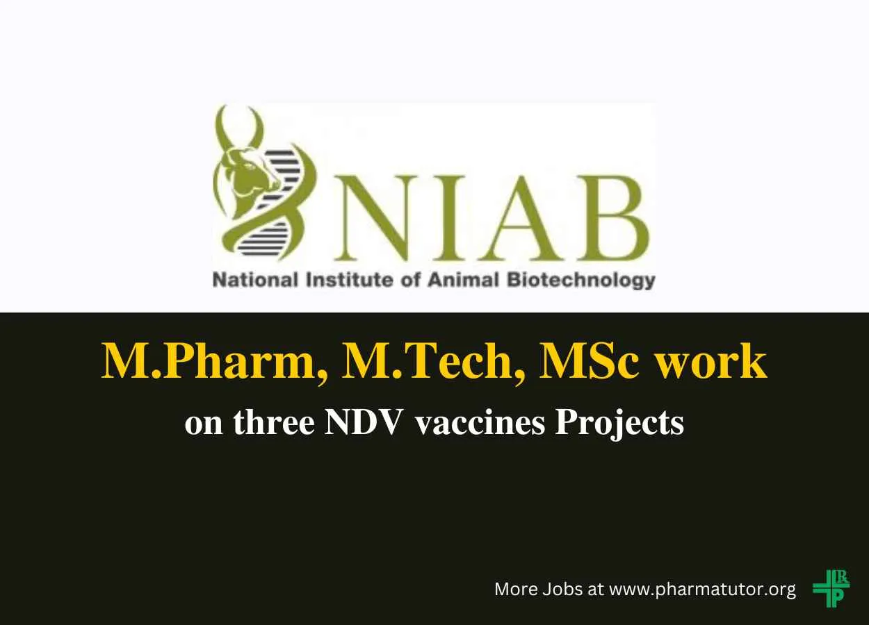 Career for M.Pharm, M.Tech, MSc at National Institute of Animal Biotechnology