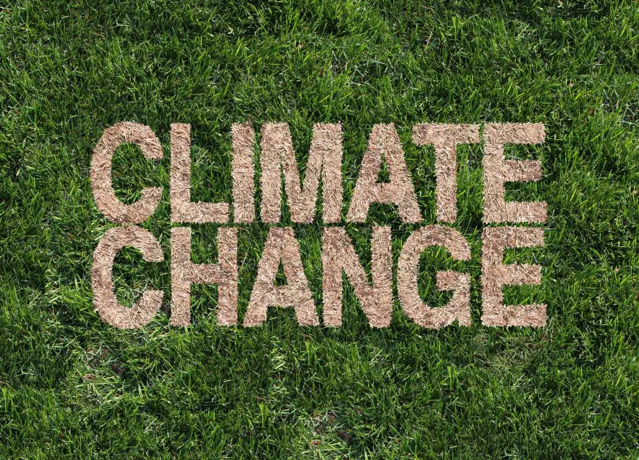 Pharmacy profession must mitigate and adapt to climate change, says FIP