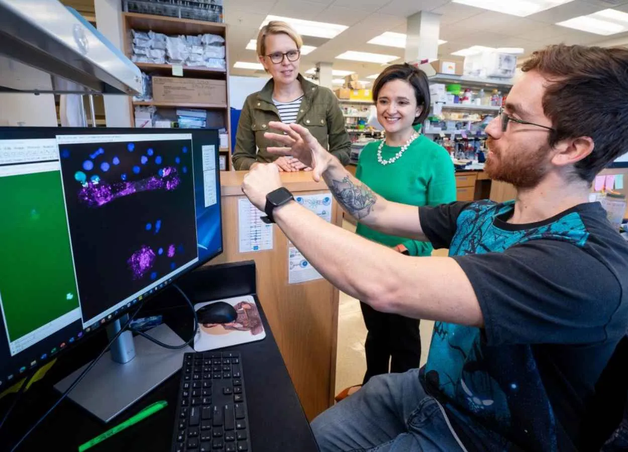 Scientists at St. Jude Childrens Research Hospital showed that GRP78 is a promising, but complex, target for CAR T-cell immunotherapy for brain and solid tumors.