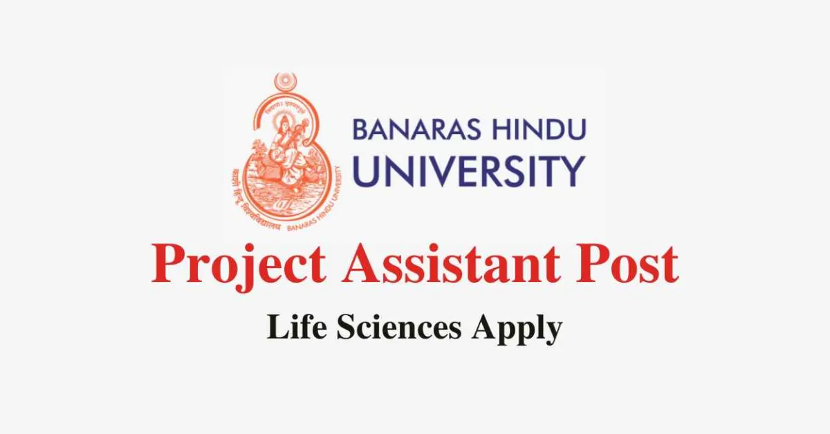 Applications are invited for post of Project Assistant at Banaras Hindu University