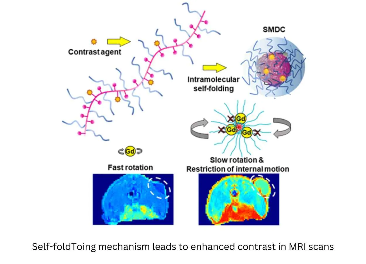 Breakthroughs in Nanosized Contrast Agents and Drug Carriers Through Self-Folding Molecules