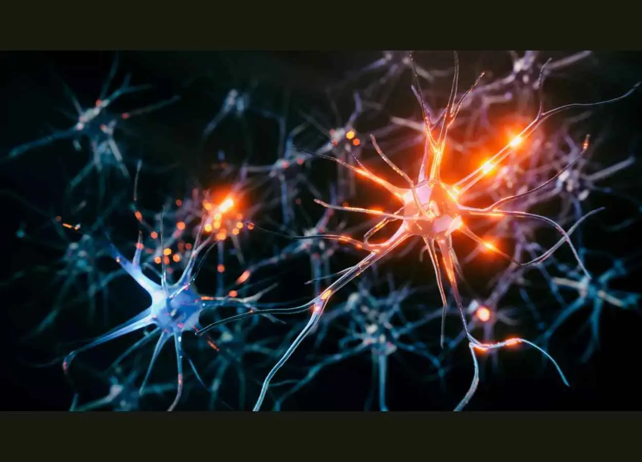 Finding that statins could slow dementia stimulates further research