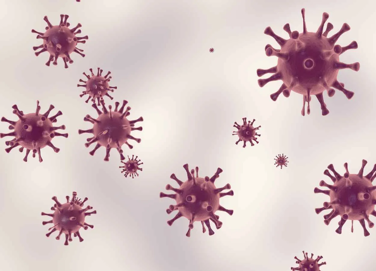 Nano-sized cell particles are promising intervention tool in treating infectious diseases