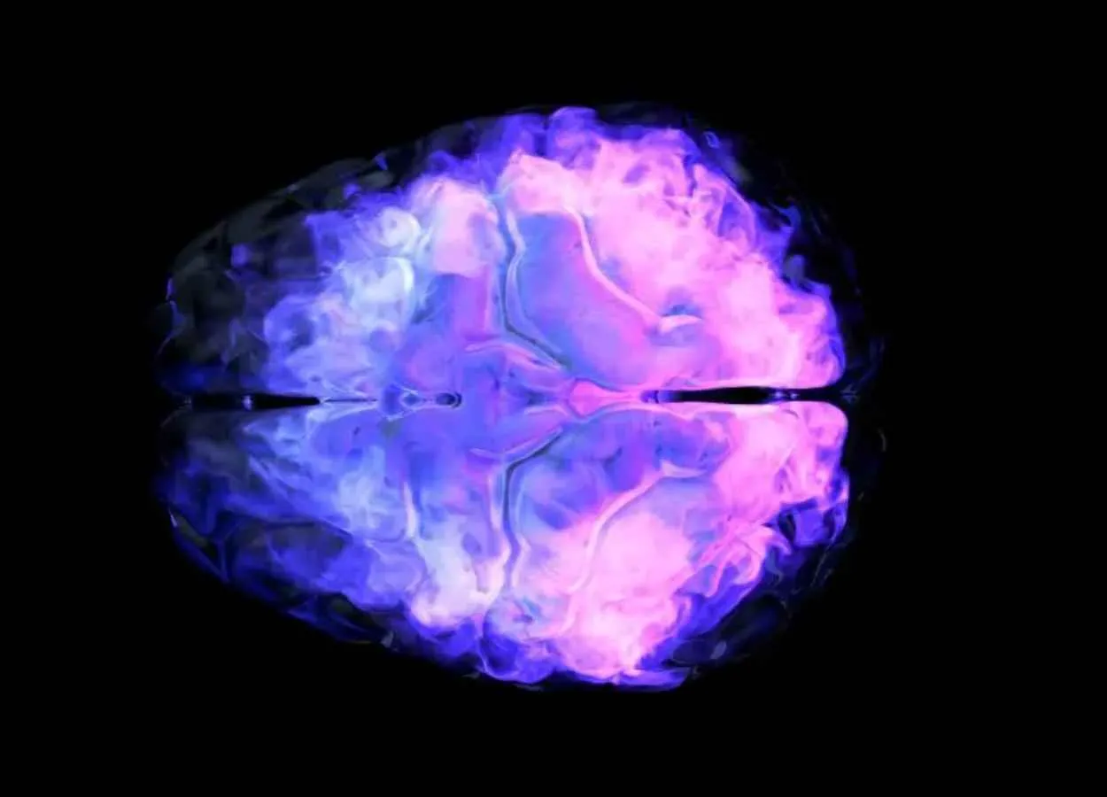 Researchers map how measles virus spreads in human brain
