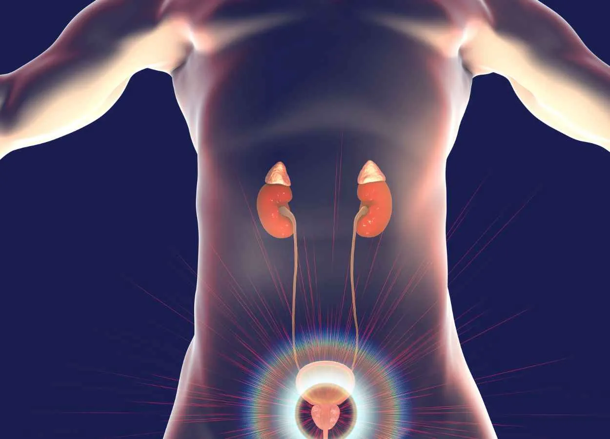 European Commission Approves Pfizer’s TALZENNA® in Combination with XTANDI® for Adult Patients with Metastatic Castration-Resistant Prostate Cancer 