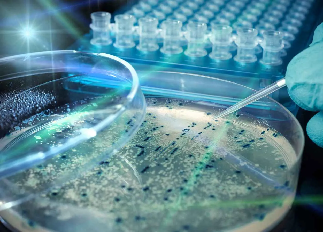 Texas A&M Team Develops Polymers That Can Kill Bacteria