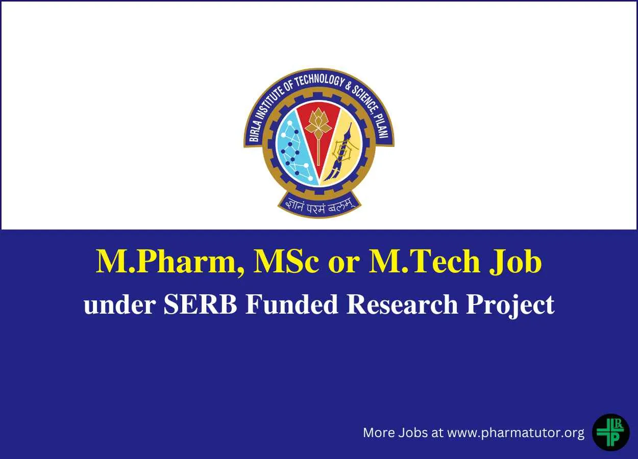Work as Research Staff under SERB Funded Research Project at BITS Pilani