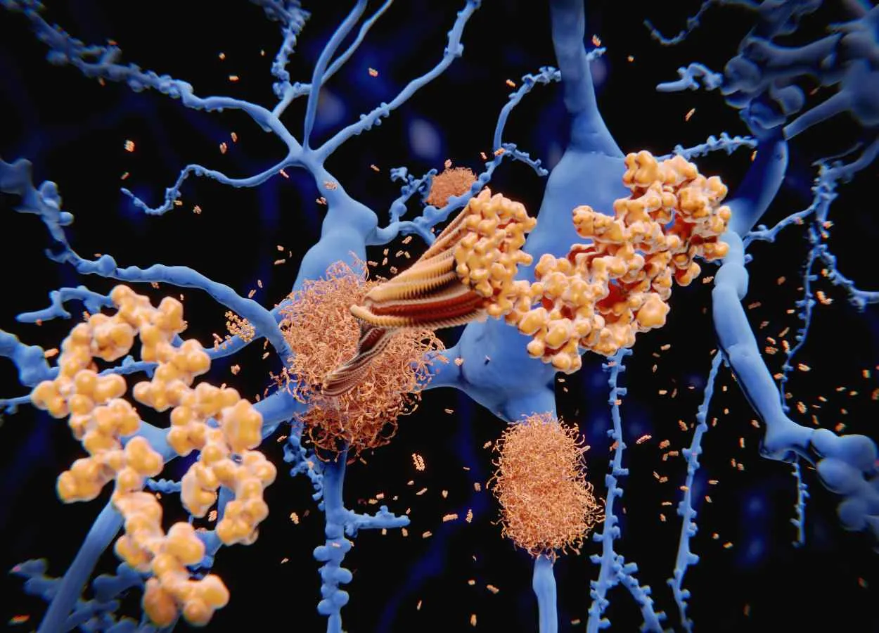Lighting up Alzheimer’s-related proteins to allow for earlier disease detection