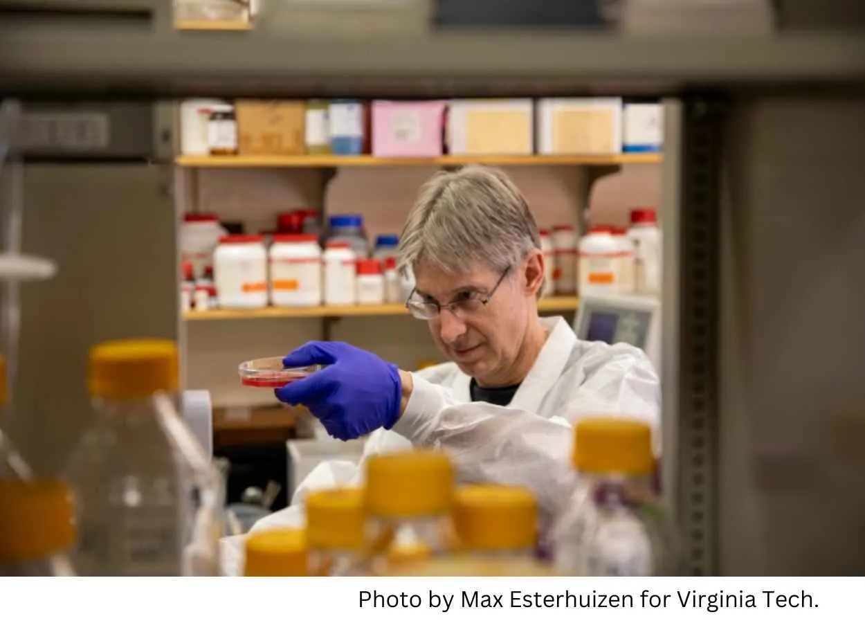 Virginia Tech researchers discover that blocking an essential nutrient inhibits malaria parasite growth