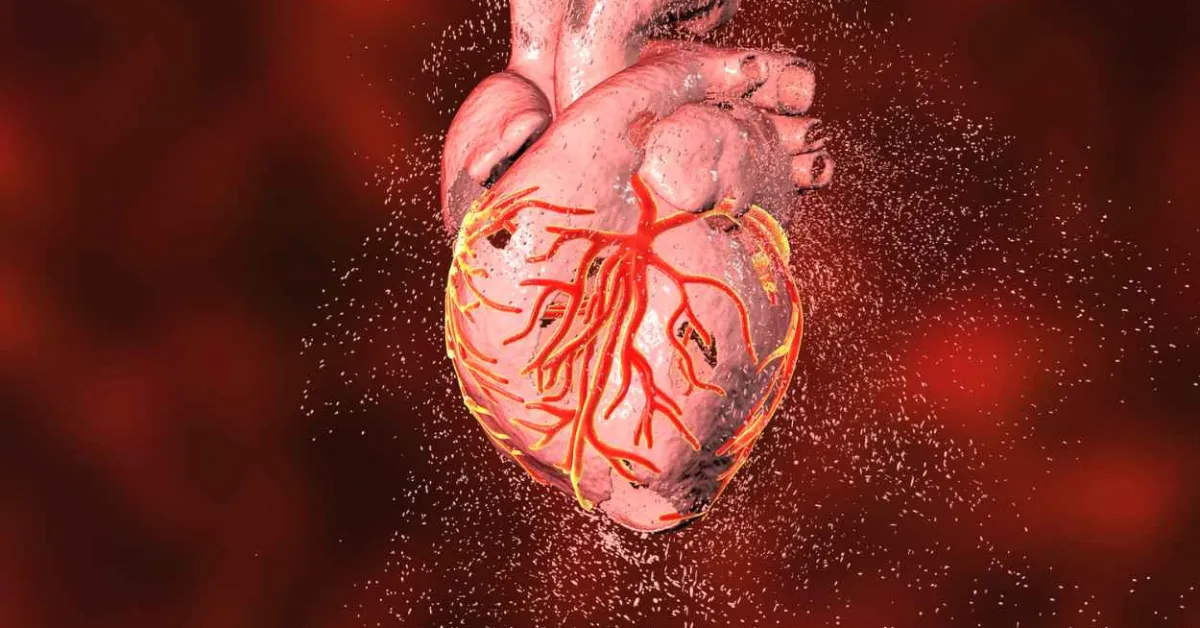 Heart disease research challenges one size fits all aspirin guidelines