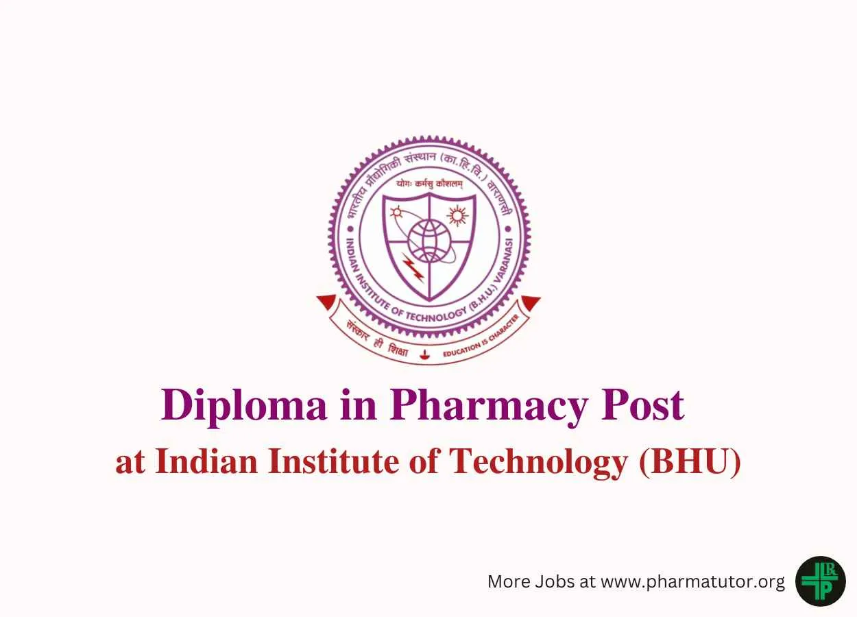 Job for Diploma in Pharmacy at Indian Institute of Technology