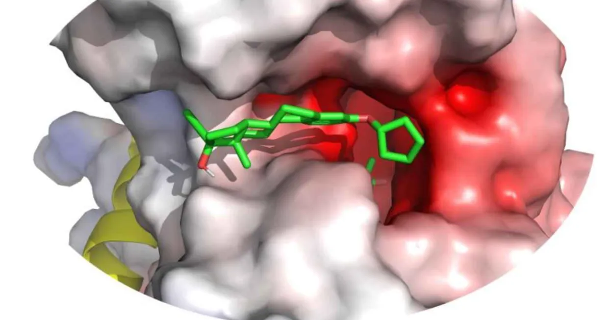 Steroid drugs used for HRT can combat E. coli and MRSA