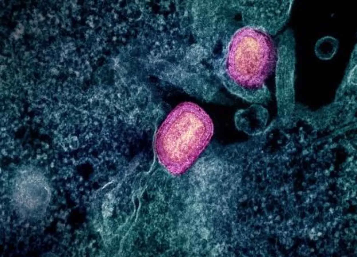 Lower Dose of Mpox Vaccine Is Safe and Generates Six-Week Antibody Response Equivalent to Standard Regimen