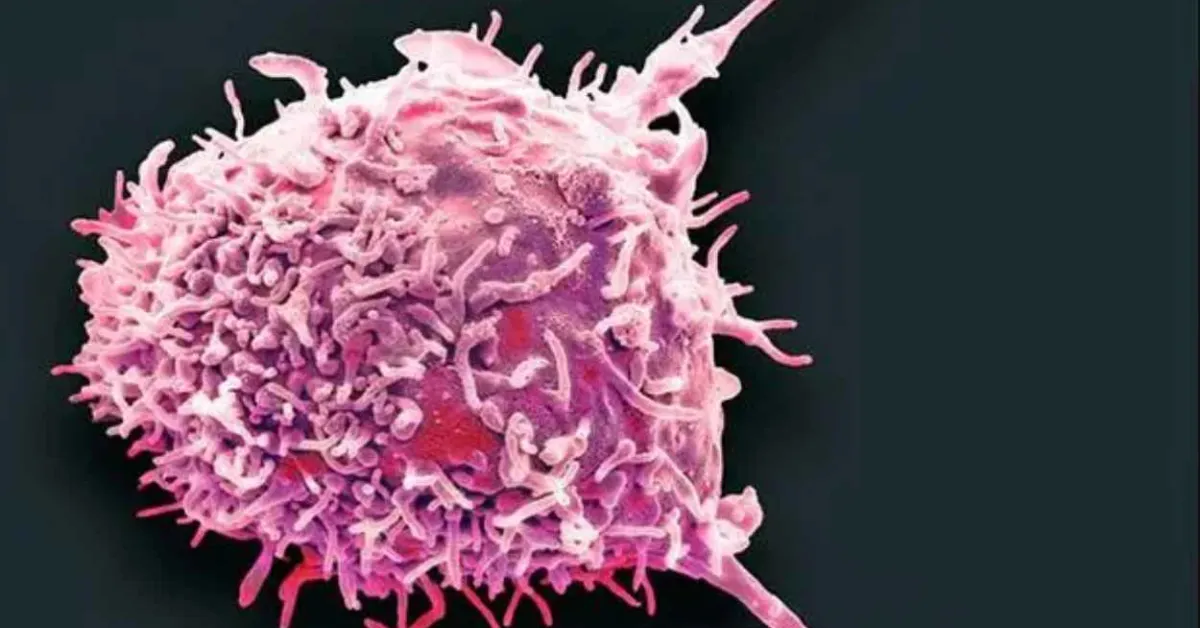 Mayo Clinic scientists pioneer immunotherapy technique for autoimmune diseases