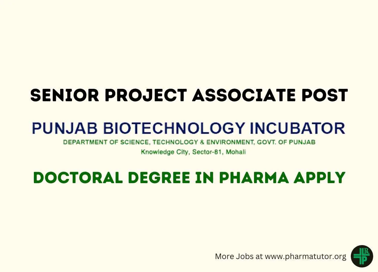 PBTI Invites applications for Senior Project Associate Post